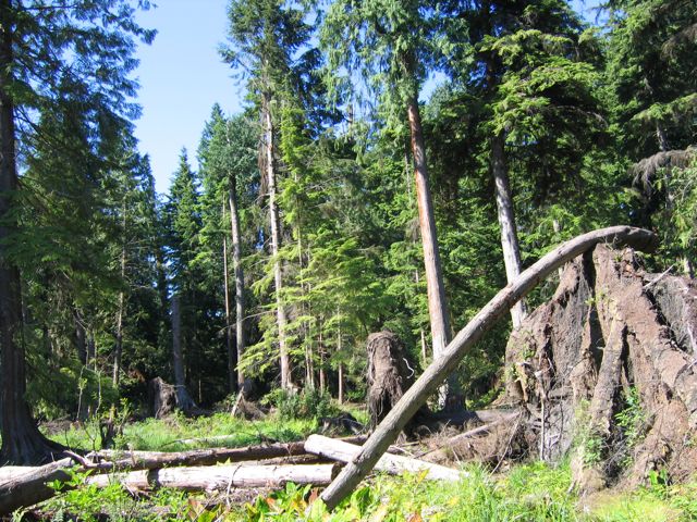 Stanley Park Vanouver