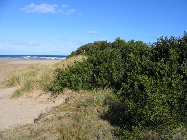 southernoceangeelong_au.jpg