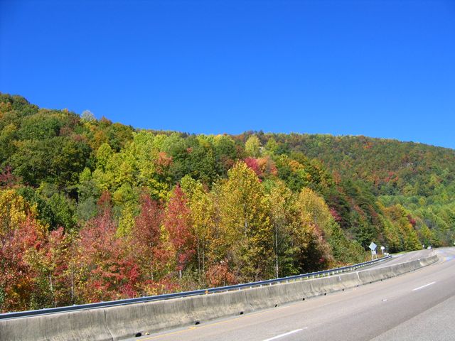 fall2008_05.jpg