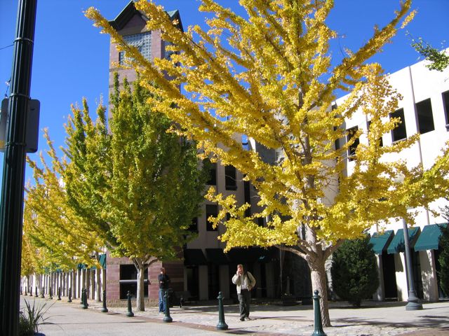 fall2008_06.jpg