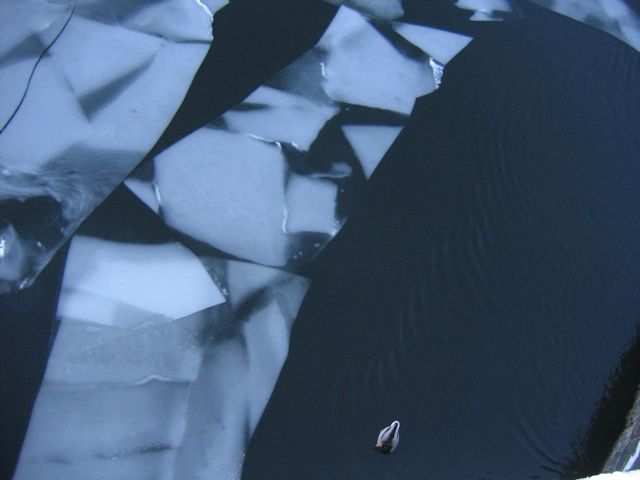 Berlin, ice